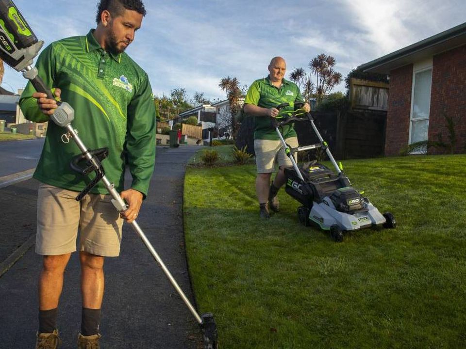 Transforming Lawns: Lawn Rite NZ's Comprehensive Lawn Care Services