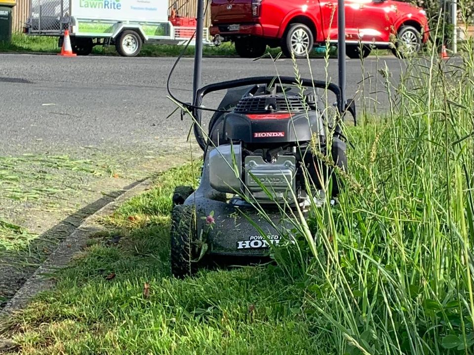 Bell Block: The Surprise Lawn Care Capital of New Zealand
