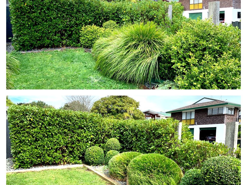 Expert Hedge Trimming and Pruning Services by Lawn Rite