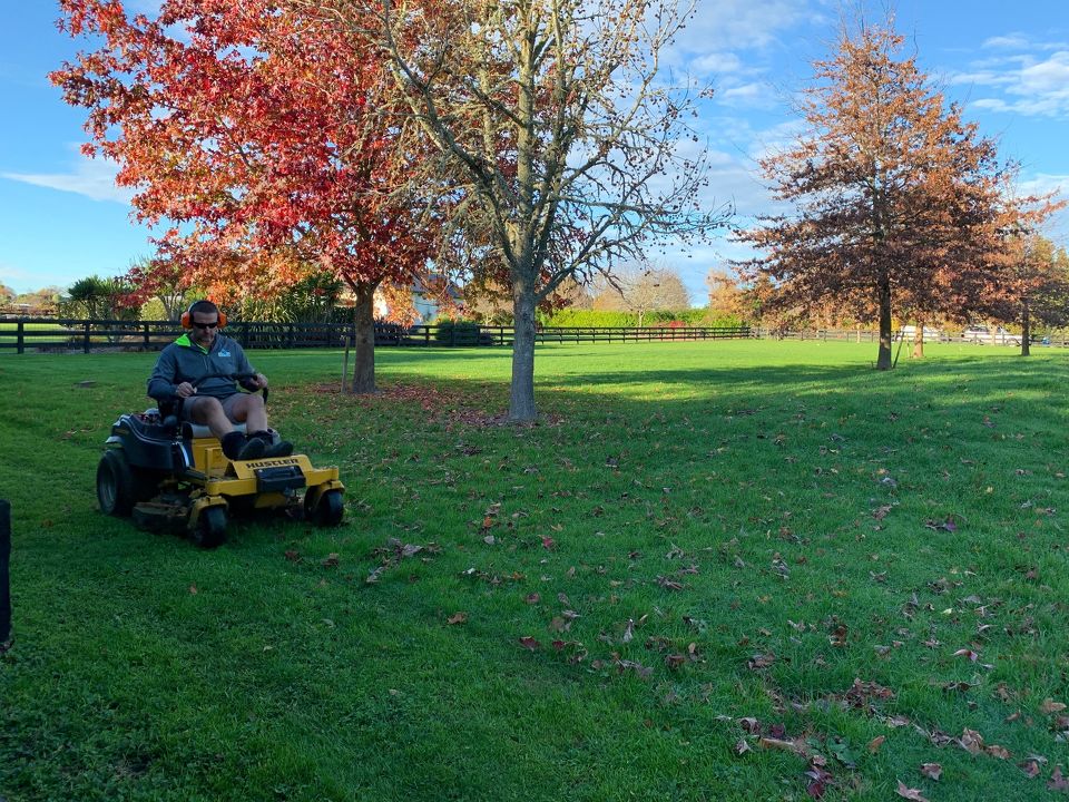 10 tasks around your yard before Winter arrives