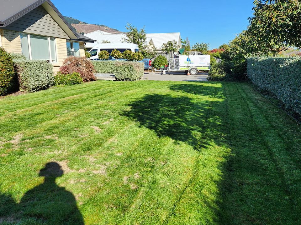 How to Maintain a Stunning Lawn in New Zealand with Less Time and Effort