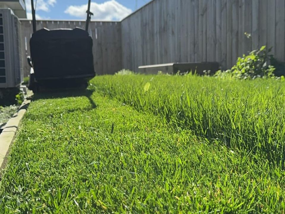 The Spring Growth and Flush: Preparing Your Garden for the Season with Lawn Rite East Tamaki