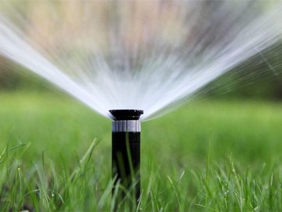 Mastering Lawn Watering: The Dos and Don'ts
