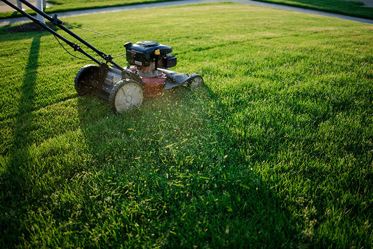 lawn-rite-lawn-mowing-gardening-maintenance