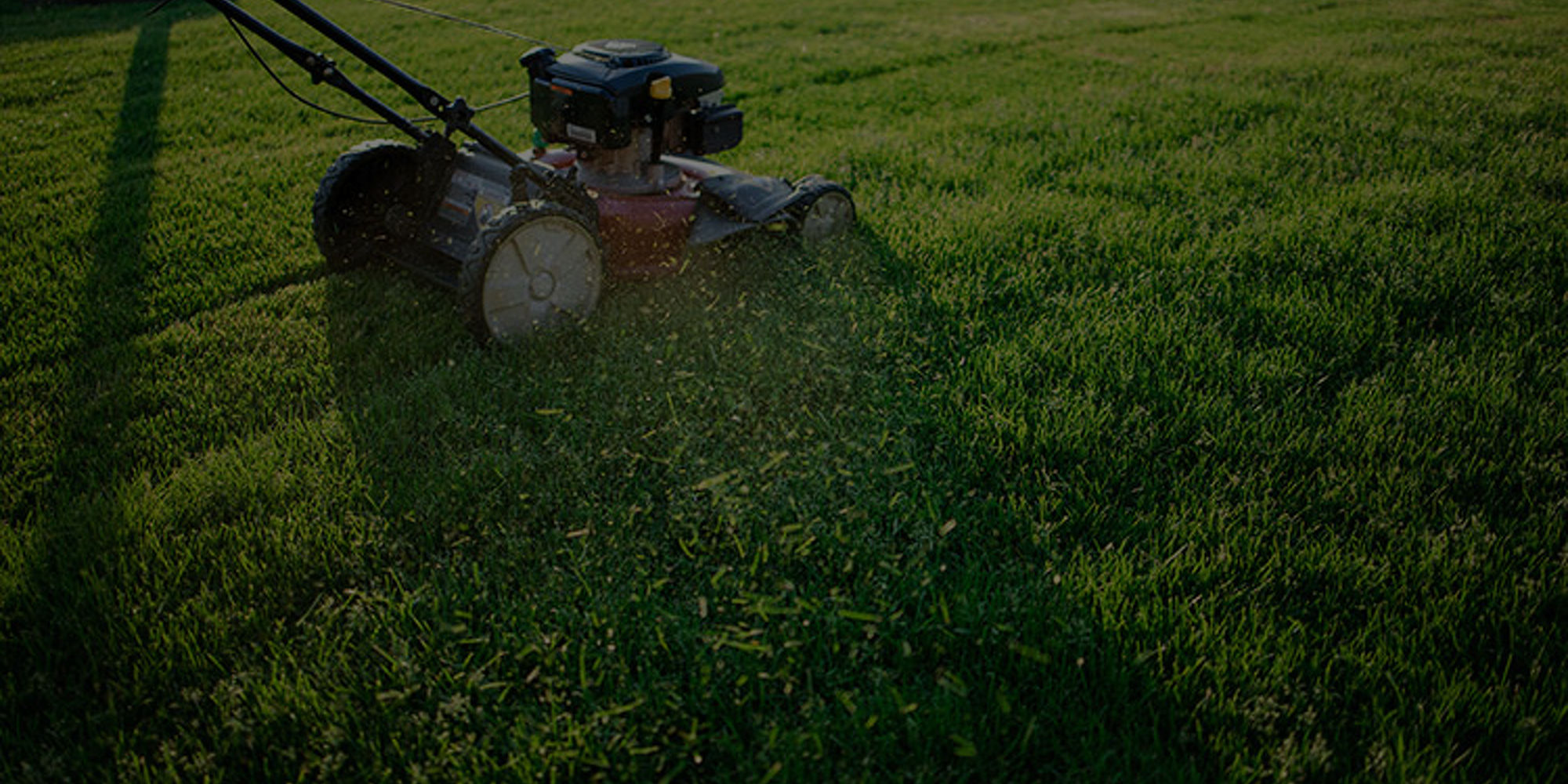 Hate Lawn Mowing? We Love it!