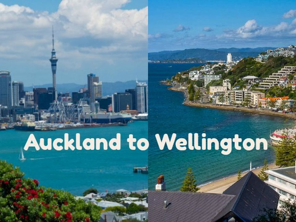 City-to-City Variations in the Lawn Mowing Industry