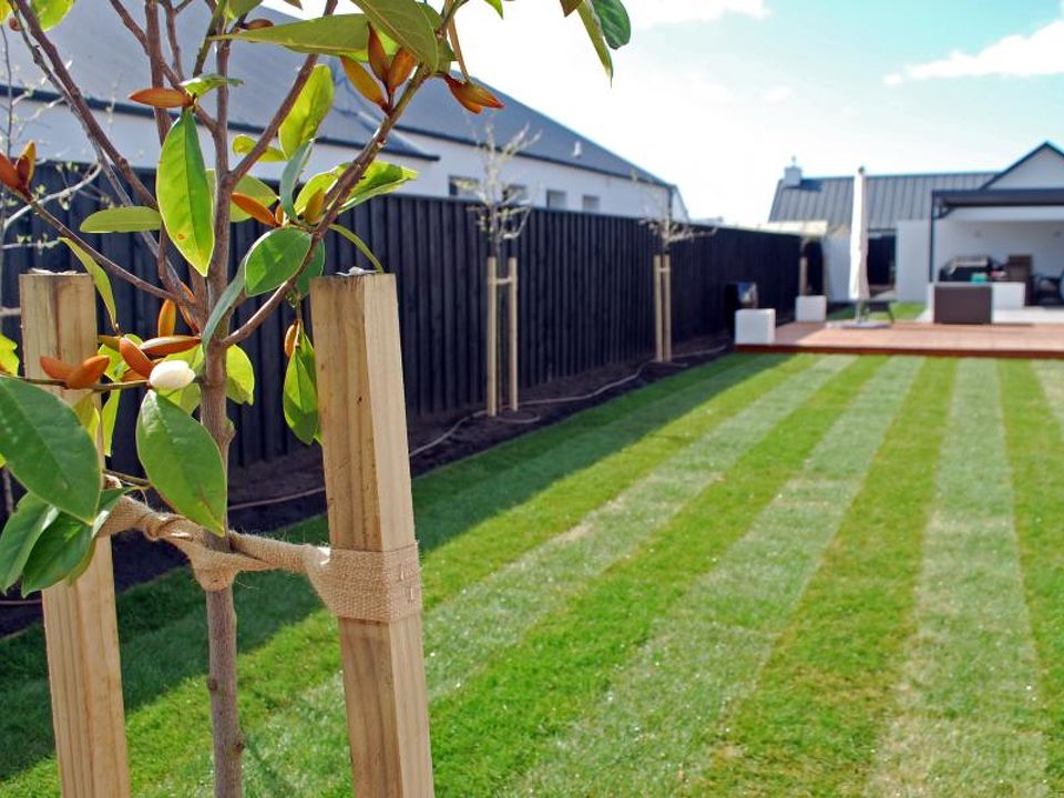How to Transform Your Yard with Professional Lawn Mowing Services in Auckland