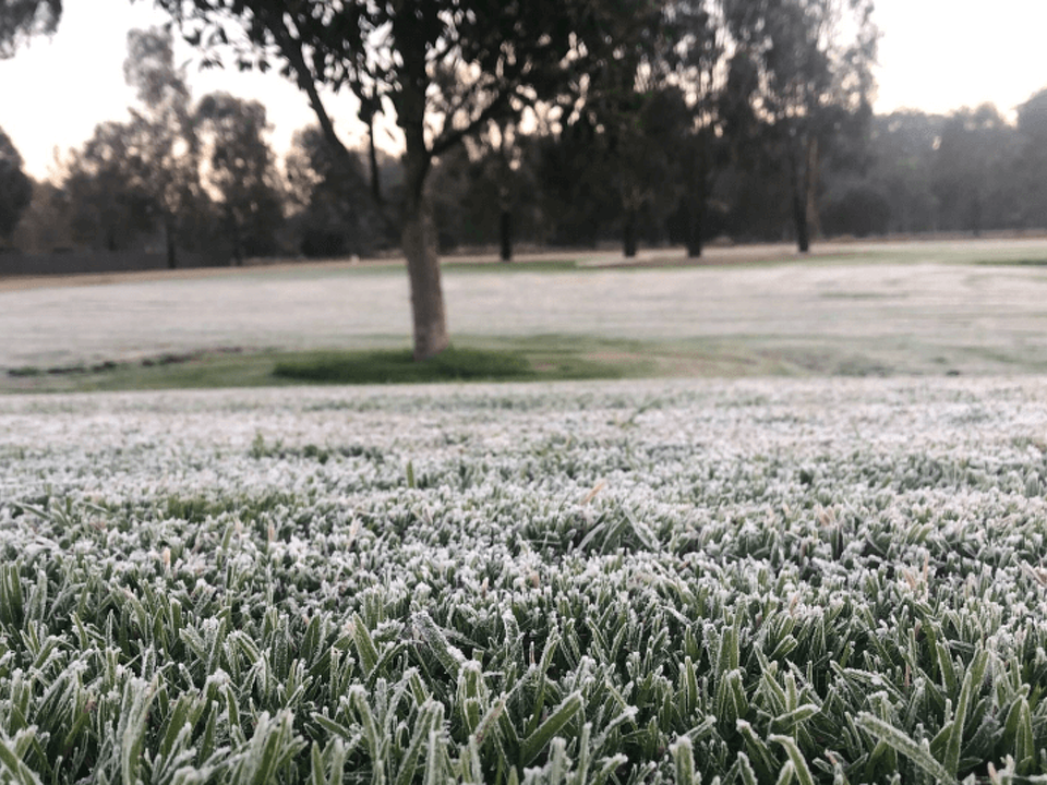 HOW TO PROTECT YOUR LAWN FROM FROST DAMAGE THIS WINTER