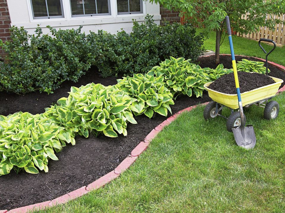 Preparing Your Garden for Mulch: Say Goodbye to Weeds