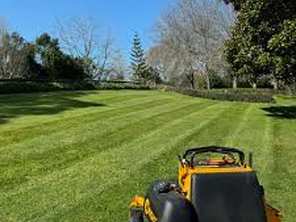 How to Get Your Lawn and Garden Ready for the Summer Dry Period