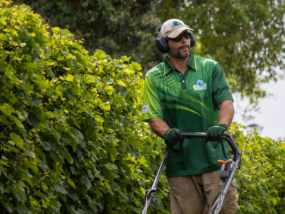 Lawn Rite’s Growth in Auckland Central: Meeting the Green Needs of Papatoetoe, Mt Roskill, and Mt Ed