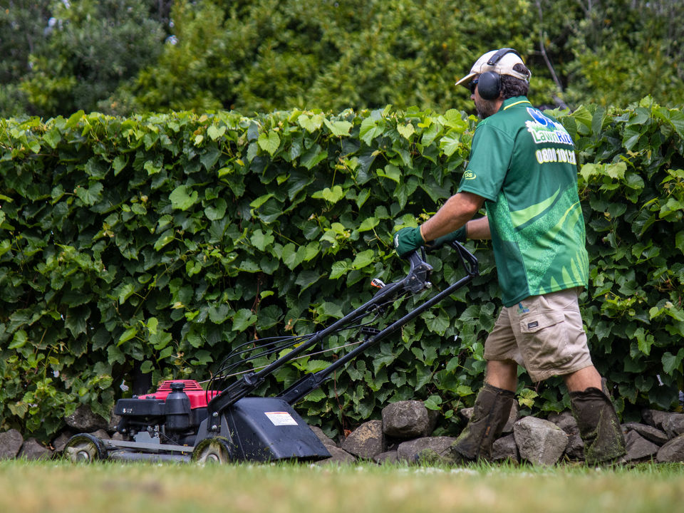 Tips for Protecting Your Lawn from the Summer Heat