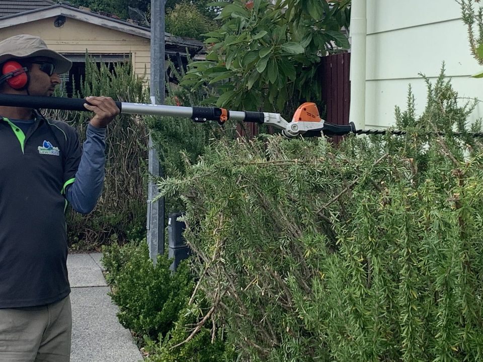 Hedge and tree trimming