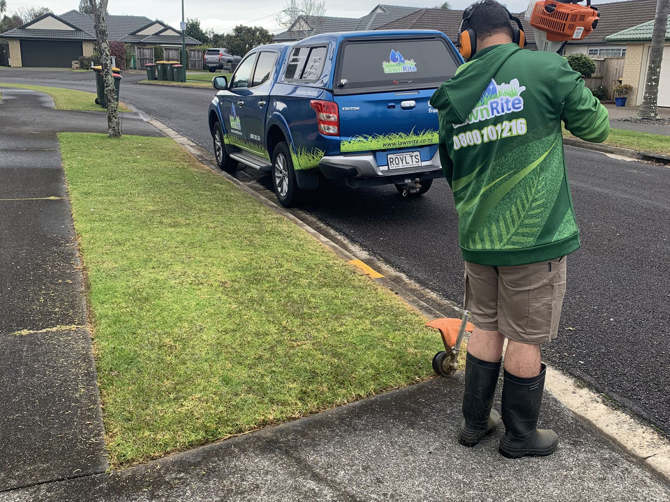 Spring Into Action: 6 Essential Yard Tasks for Auckland Homeowners and How Lawn Rite Lawn Mowing Can