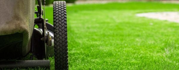 Common Lawn Care Mistakes To Avoid | Blog Item - Lawn Rite