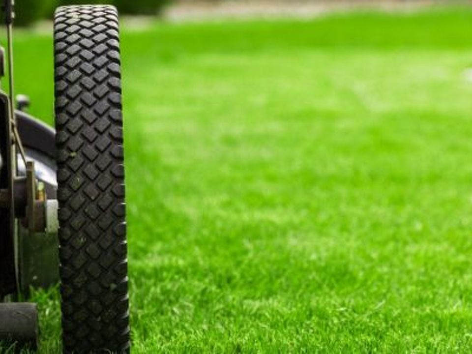 Common Lawn Care Mistakes To Avoid