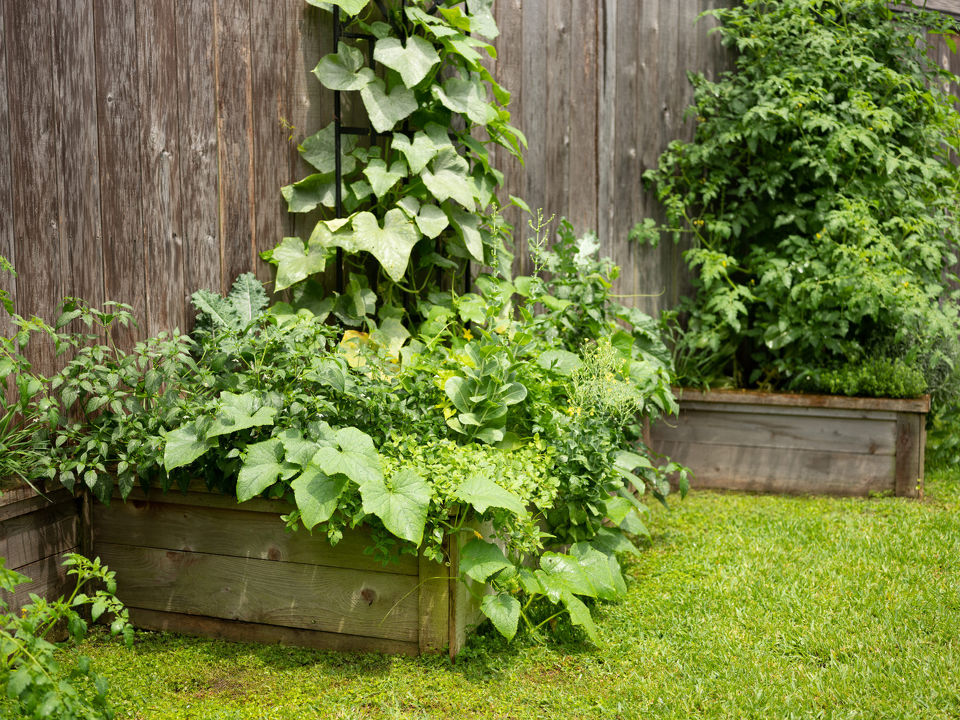 Ultimate Guide to Installing Raised Garden Beds