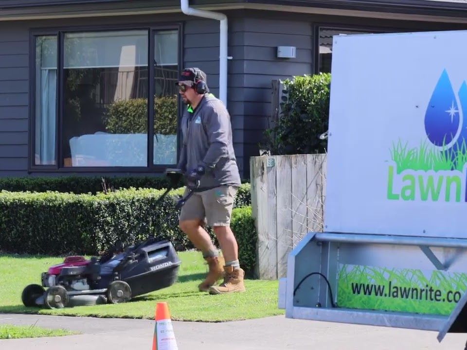 Green Revolution in Auckland's Central Suburbs: Lawn Growth Explodes in Mt Albert, Mt Roskill, and M