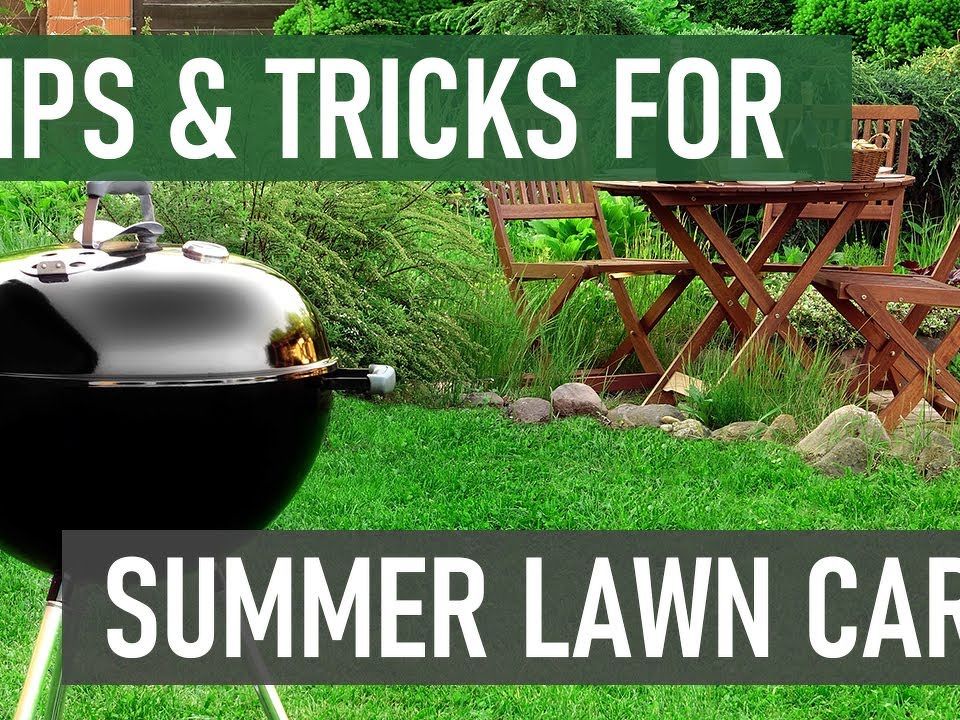 Tips to get your lawn in shape for summer