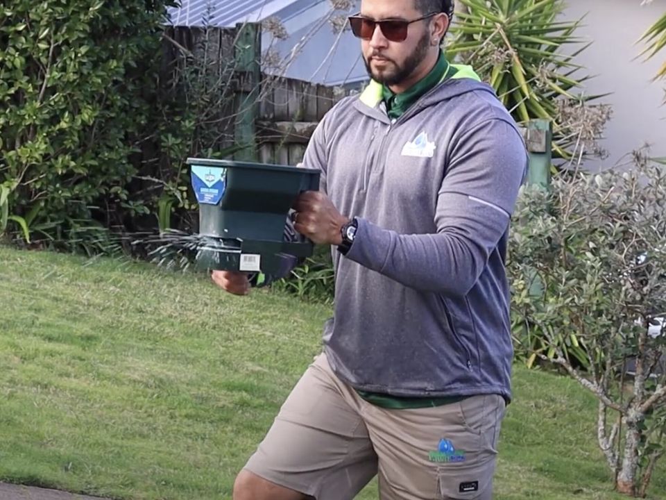 Good Plant Health Depends on the Right Nutrients