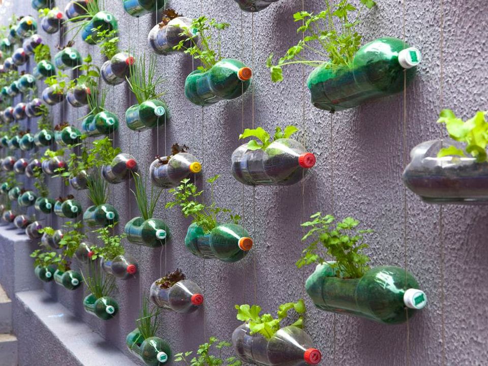 Revolutionise Your Garden: Harnessing Plastic for a Sustainable Oasis
