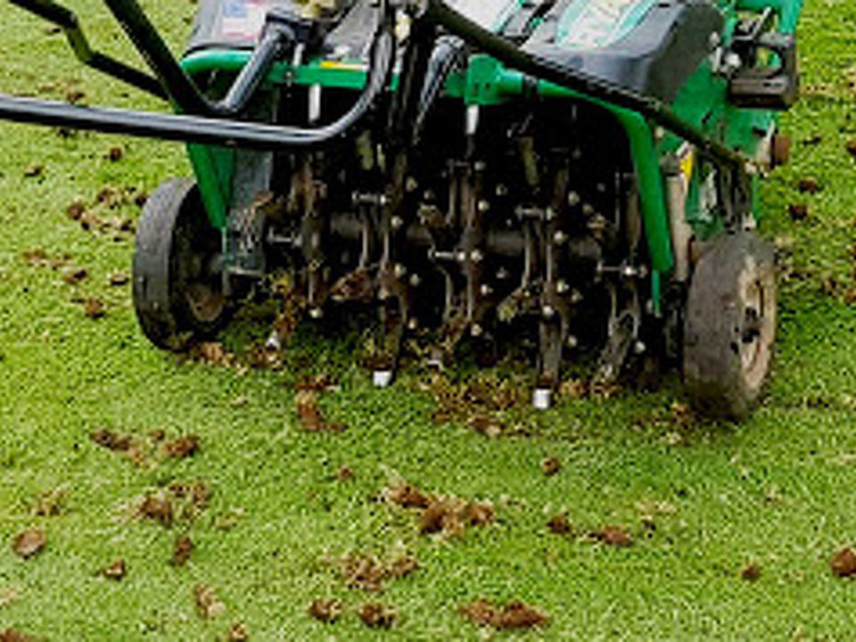 Lawn Aerator
