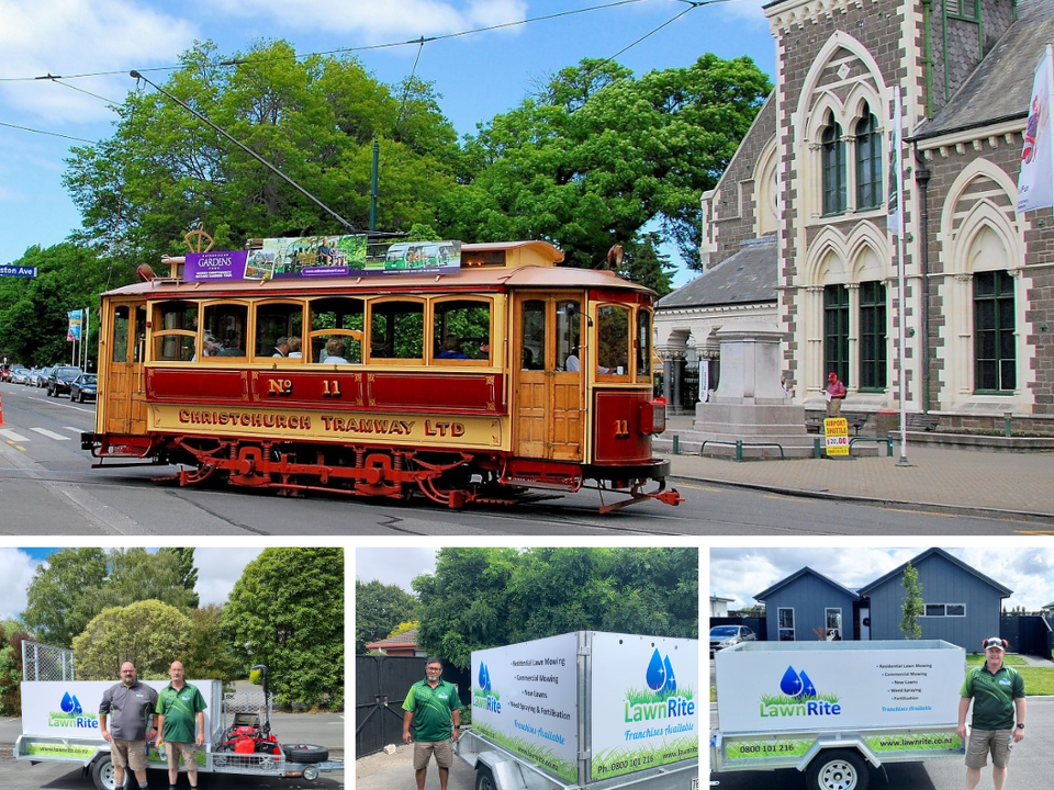 Lawn Rite Growing In Christchurch