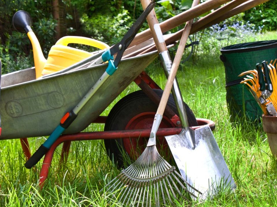 Navigating the World of Lawn Care Tools in New Zealand