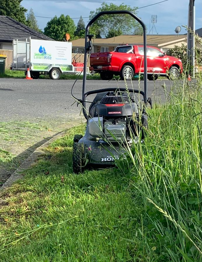 Bell Block: The Surprise Lawn Care Capital of New Zealand