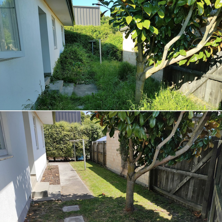 Before photo of back yard overgrown and messy. After photo of clean tidy back yard.